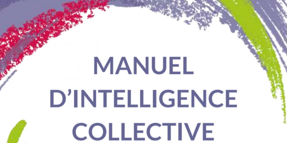 2021-05-04 16_28_23-manuel_intelligencecollective.pdf